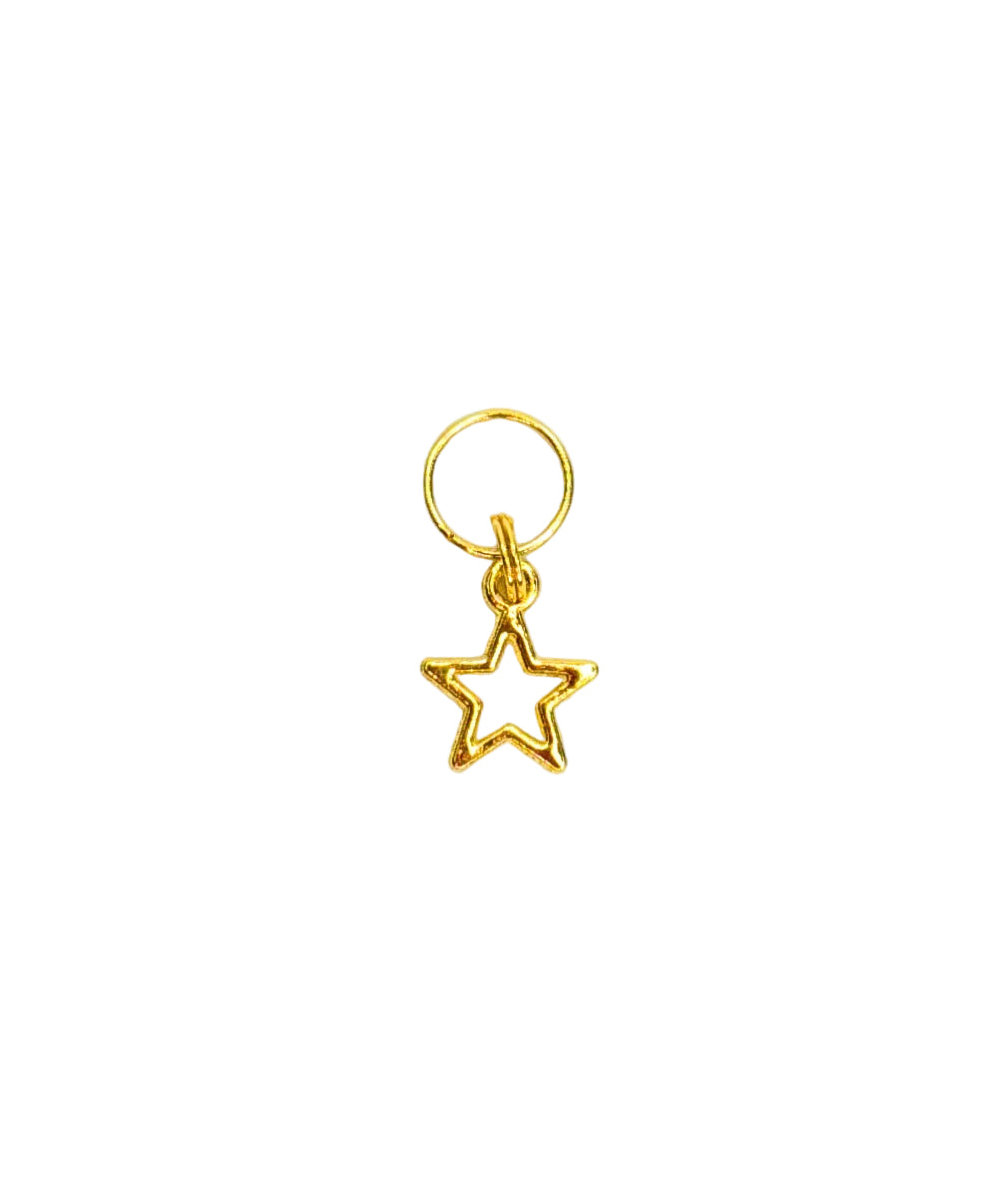 5 Star Pup Charm (Small)