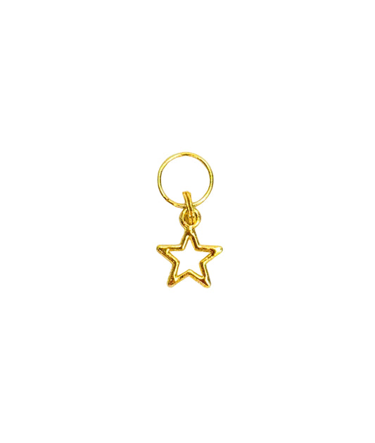 5 Star Pup Charm (Small)