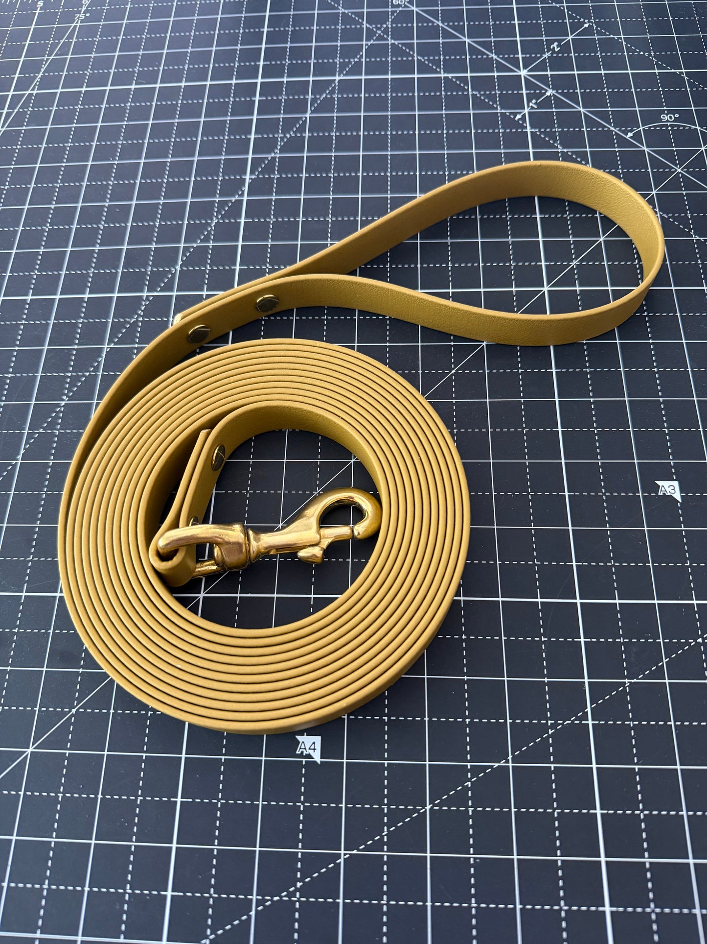 13ft Gold 19mm BioThane Long Line Lead
