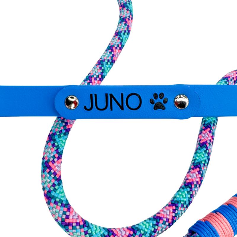 Add Painted Name Plate