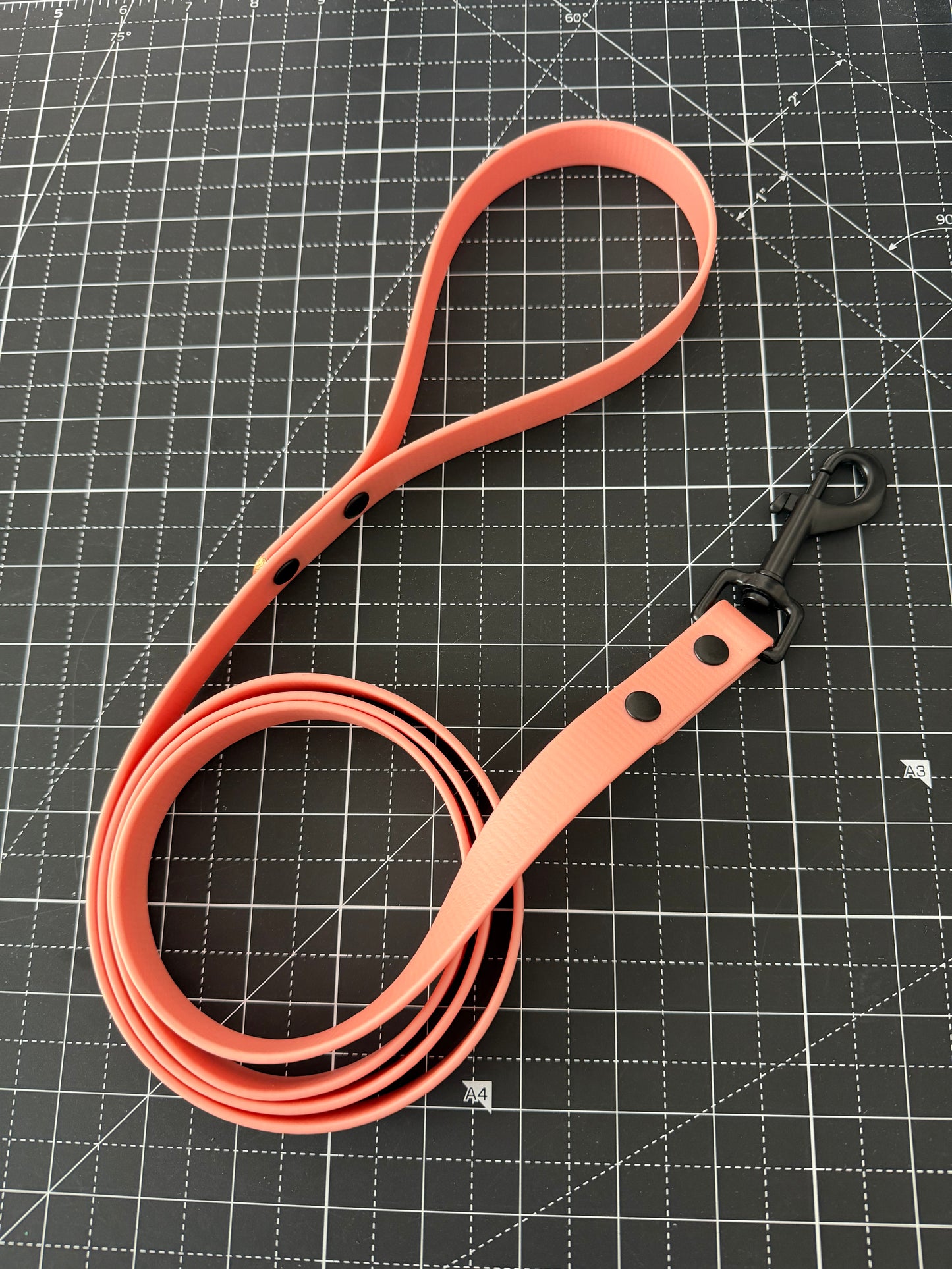 5ft Rose Gold 19mm BioThane Lead