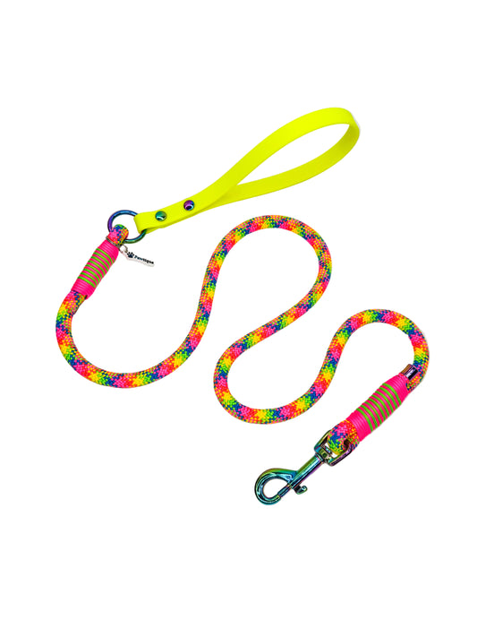 Pawty Lights Rope Lead