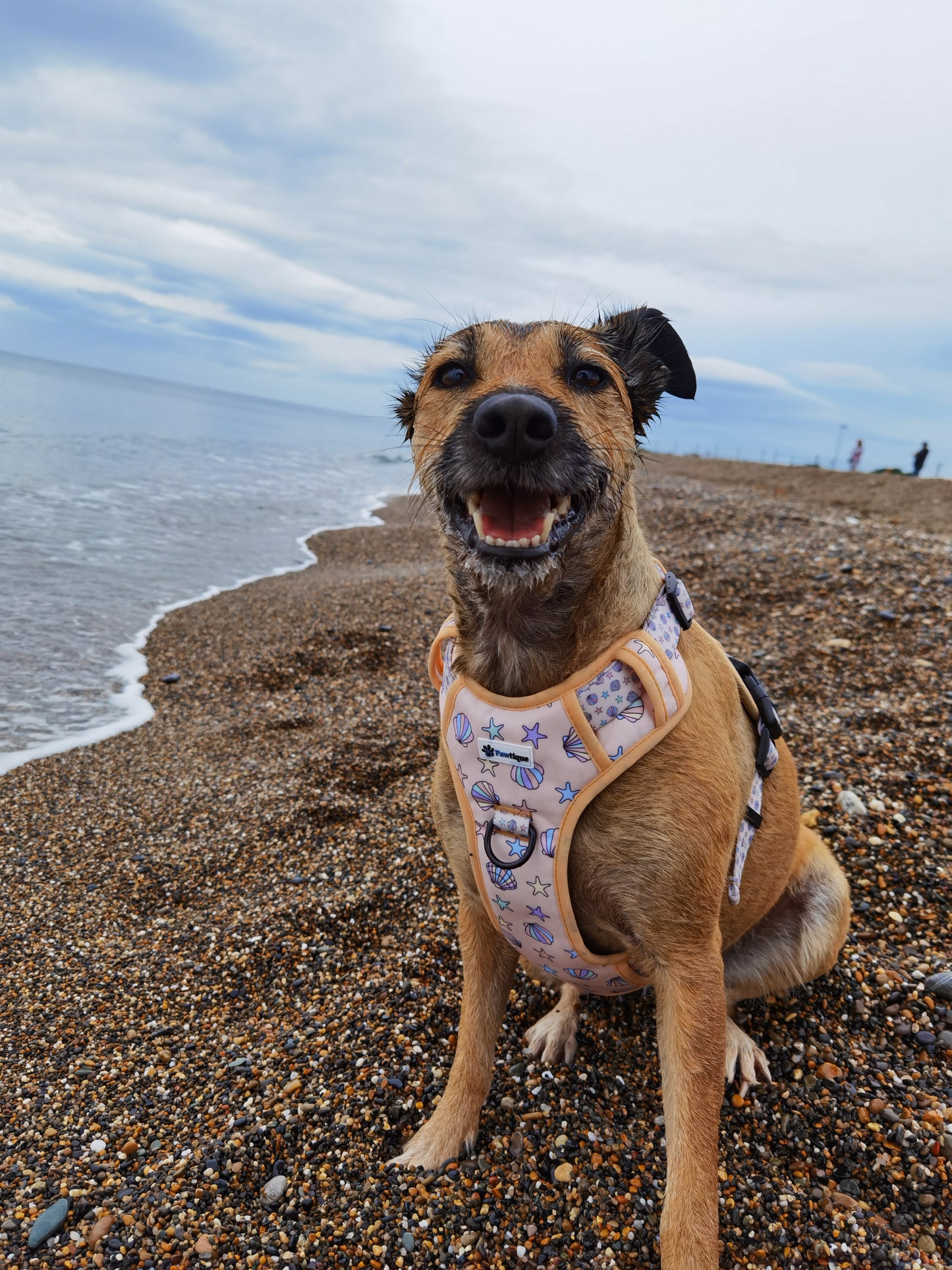 Seaside Treasures (Elite Walkies) Harness