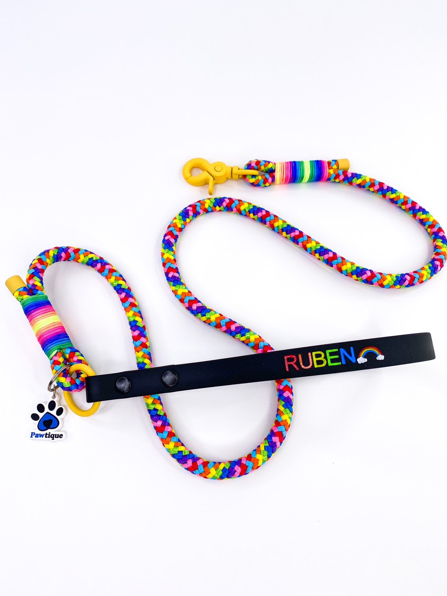 Rainbow Lead with Rainbow Name Special Edition
