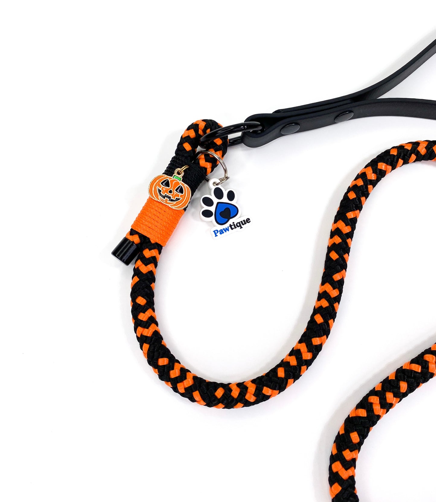 Pumpkin Rope Lead