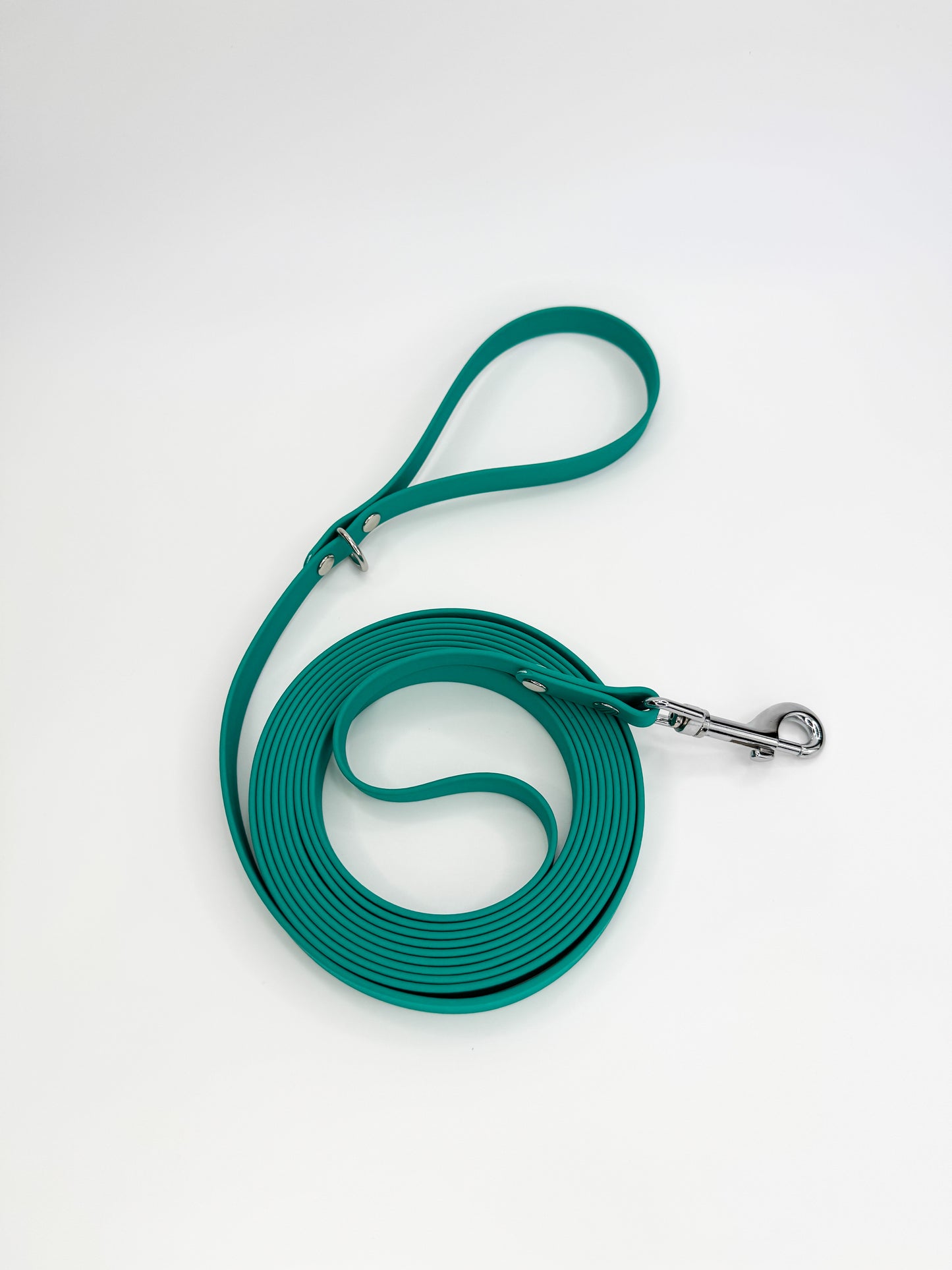 13ft Waterproof Webbing Long Line Lead Teal