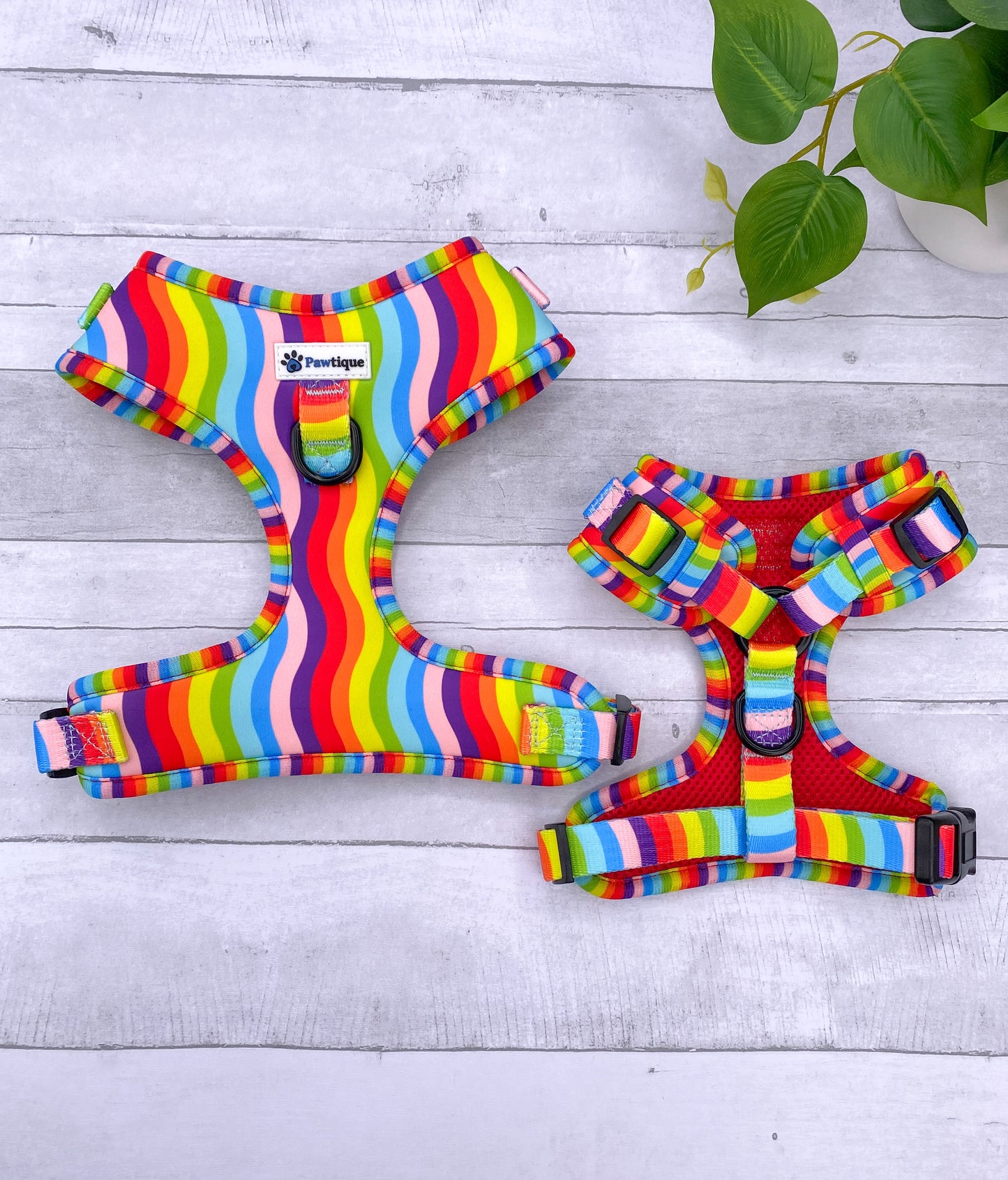 Rainbow Harness