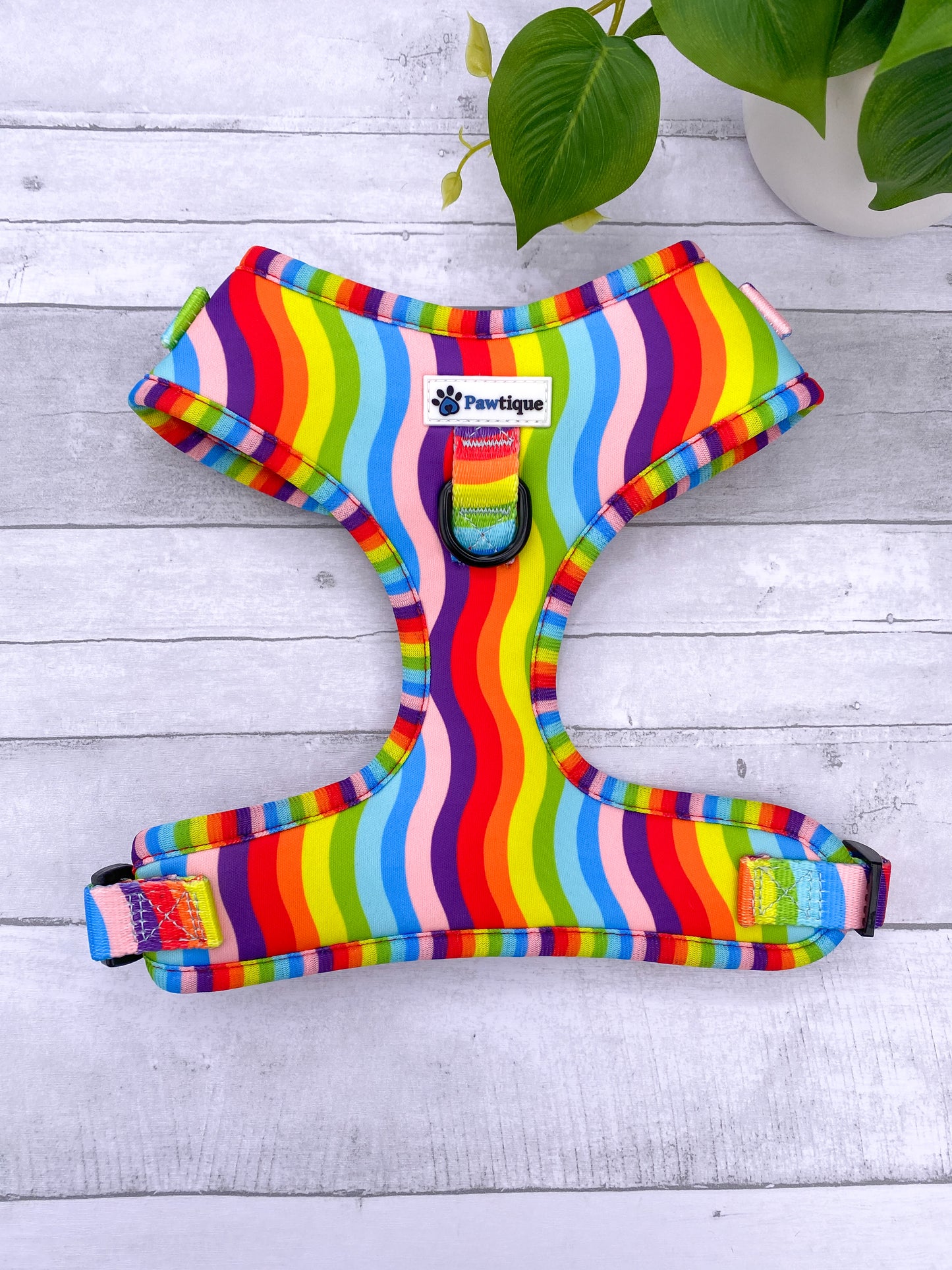 Rainbow Harness
