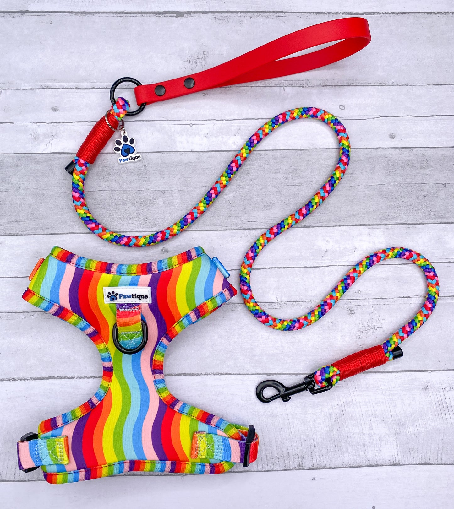 Rainbow Bundle (Red Lead)