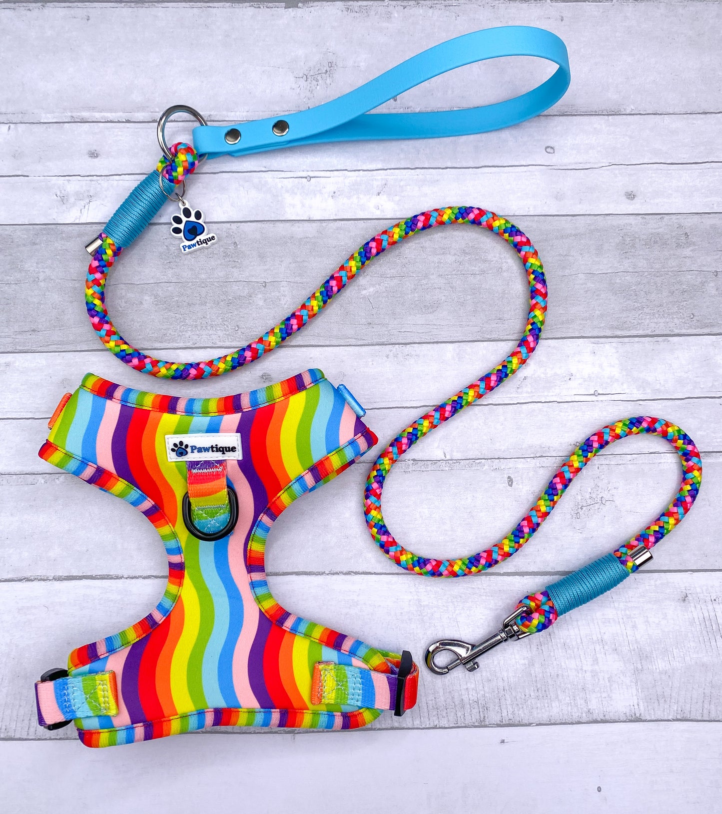 Rainbow Bundle (Blue Lead)