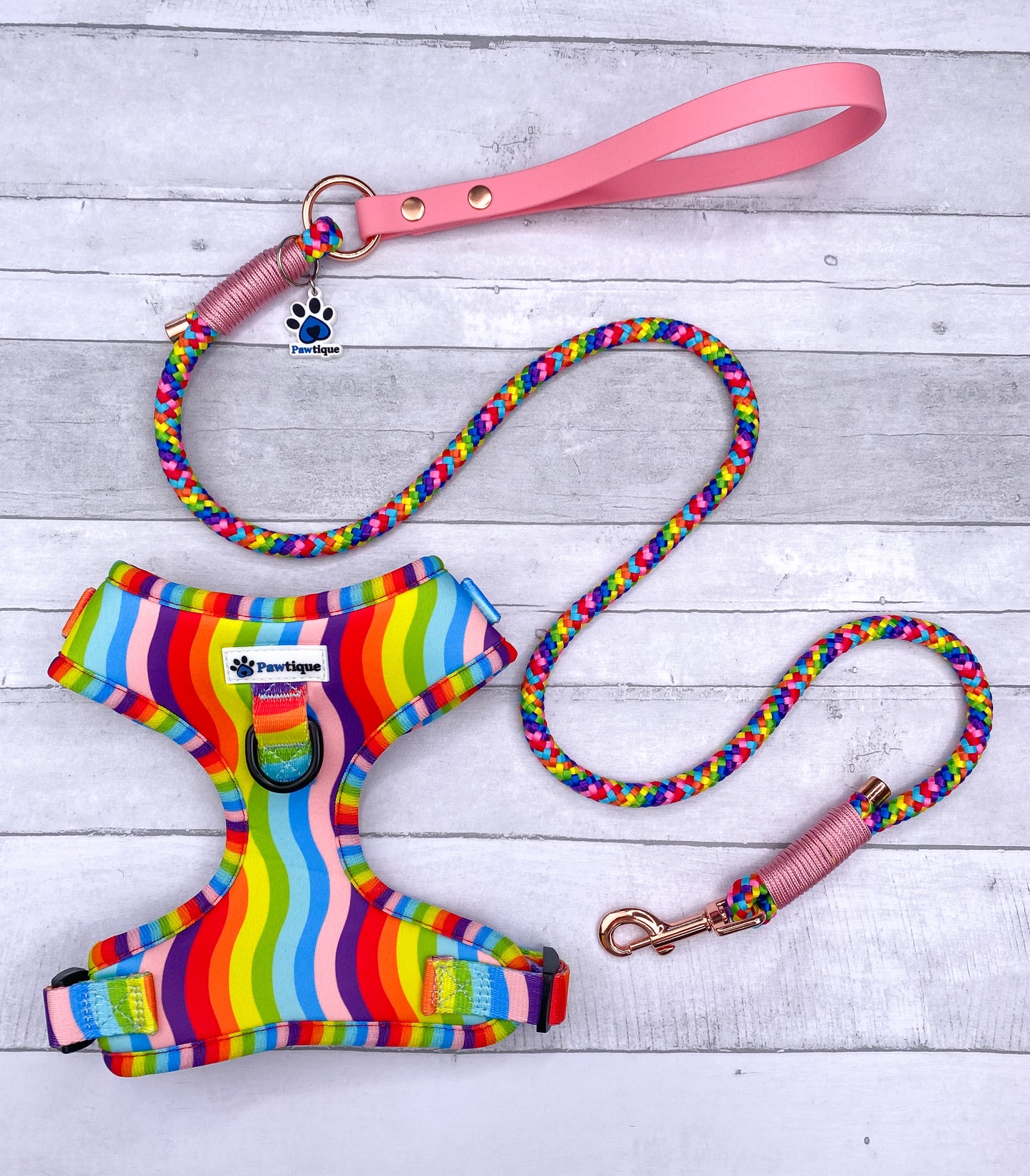Rainbow Bundle (Pink Lead)