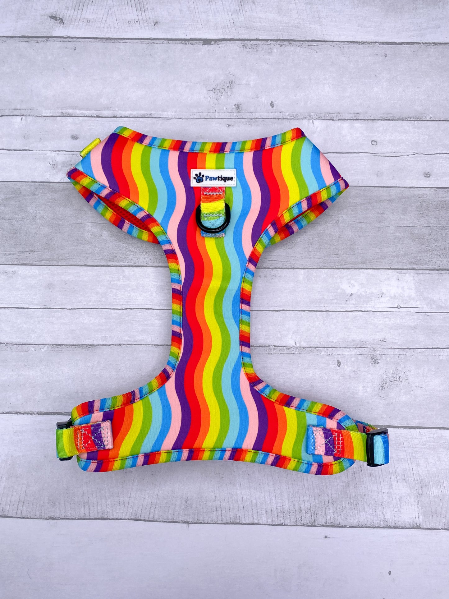 Rainbow Harness