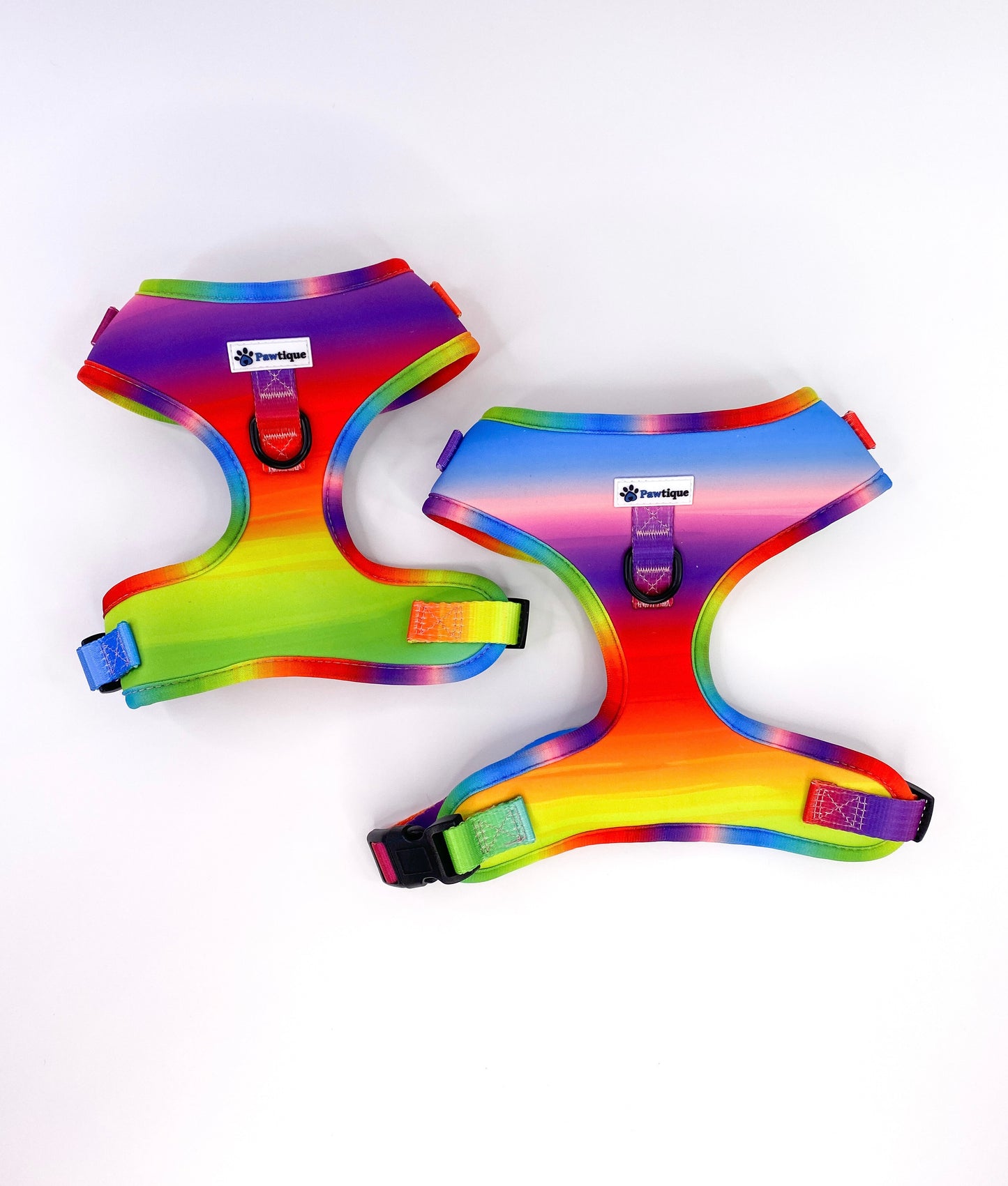 Colours of the Rainbow Harness