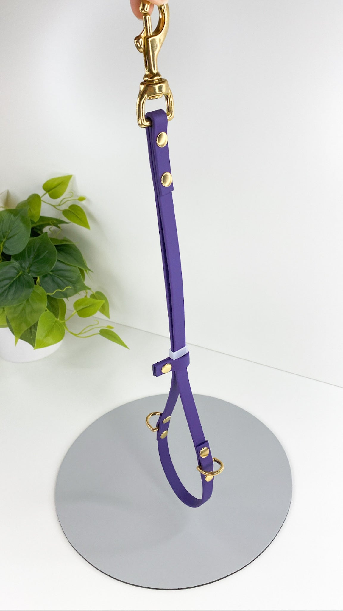 Biothane Grooming Noose with D-Rings