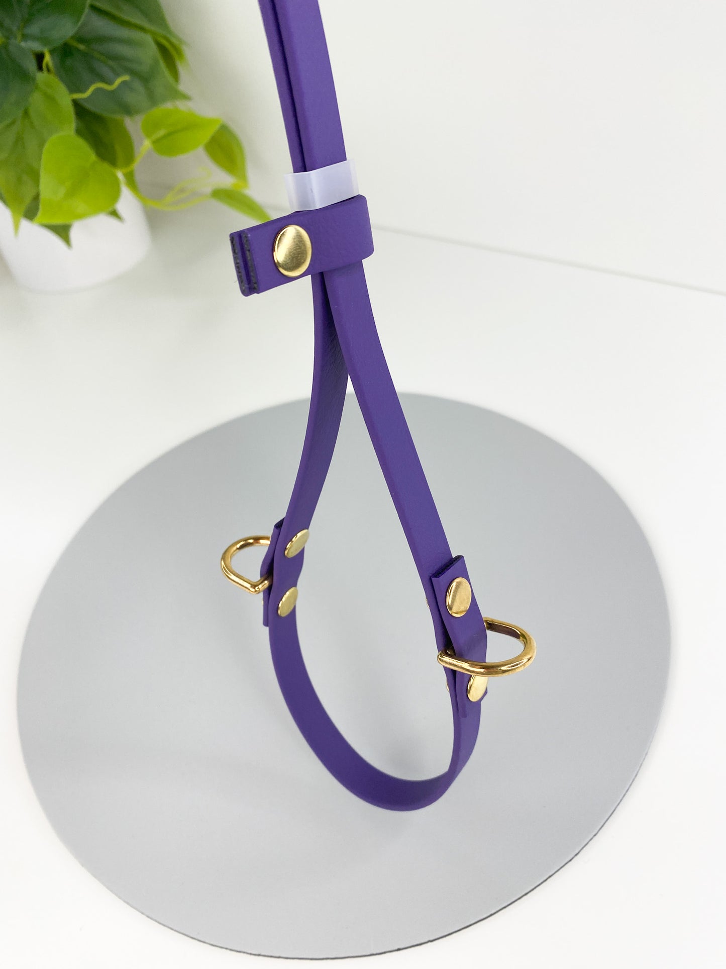 Biothane Grooming Noose with D-Rings