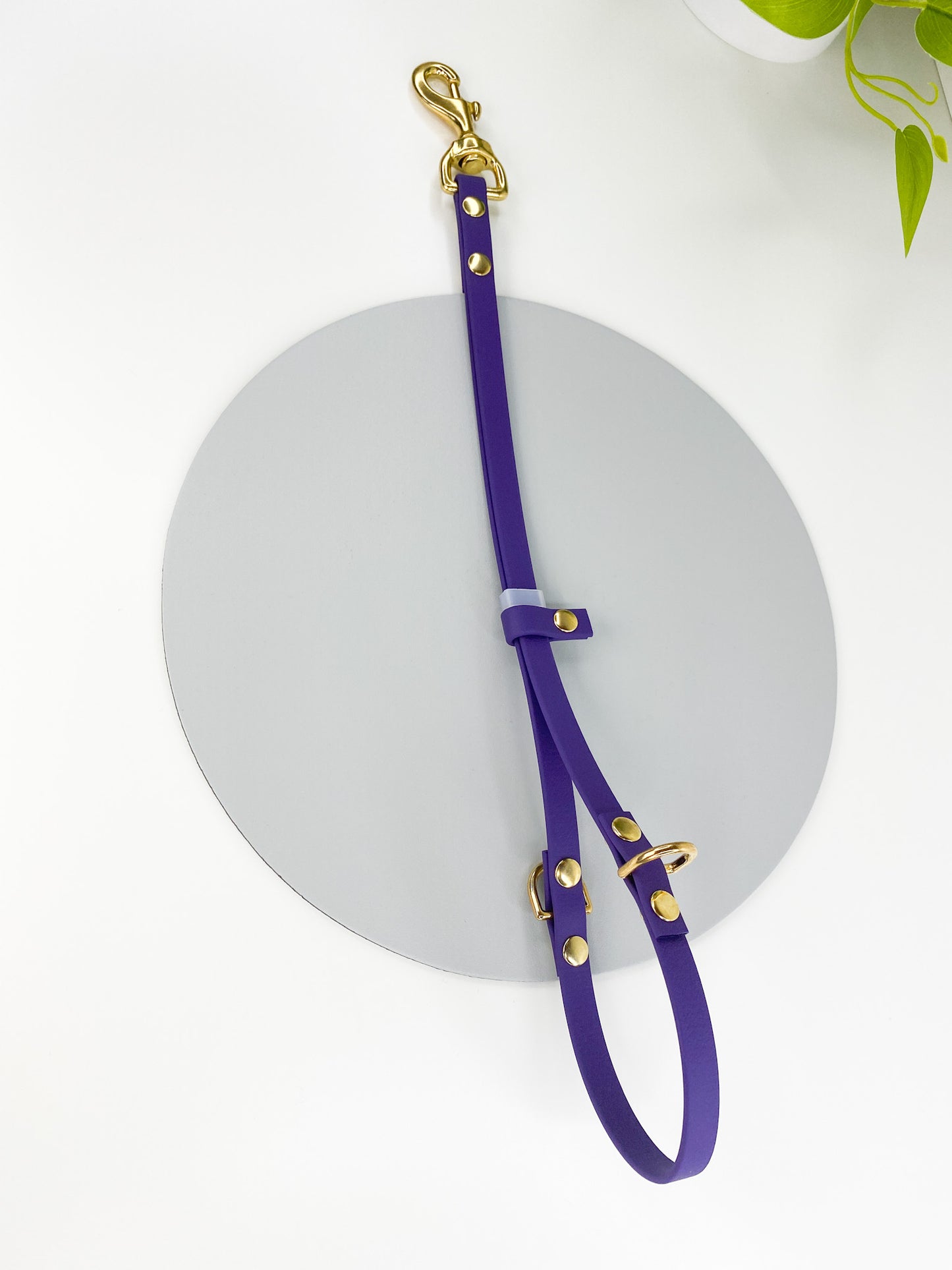 Biothane Grooming Noose with D-Rings