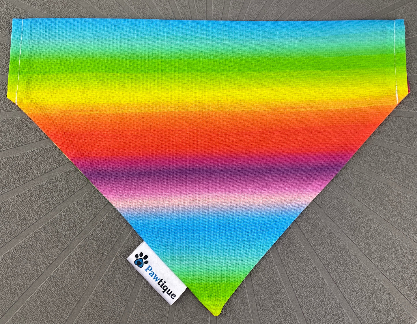 Rainbow Bandana