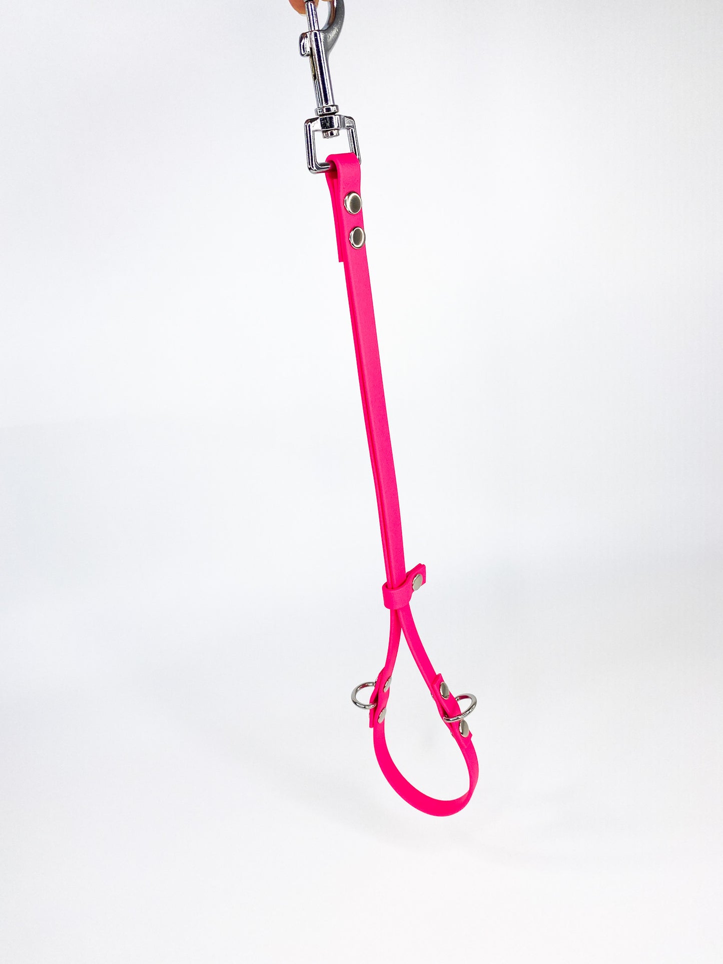 Biothane Grooming Noose with D-Rings