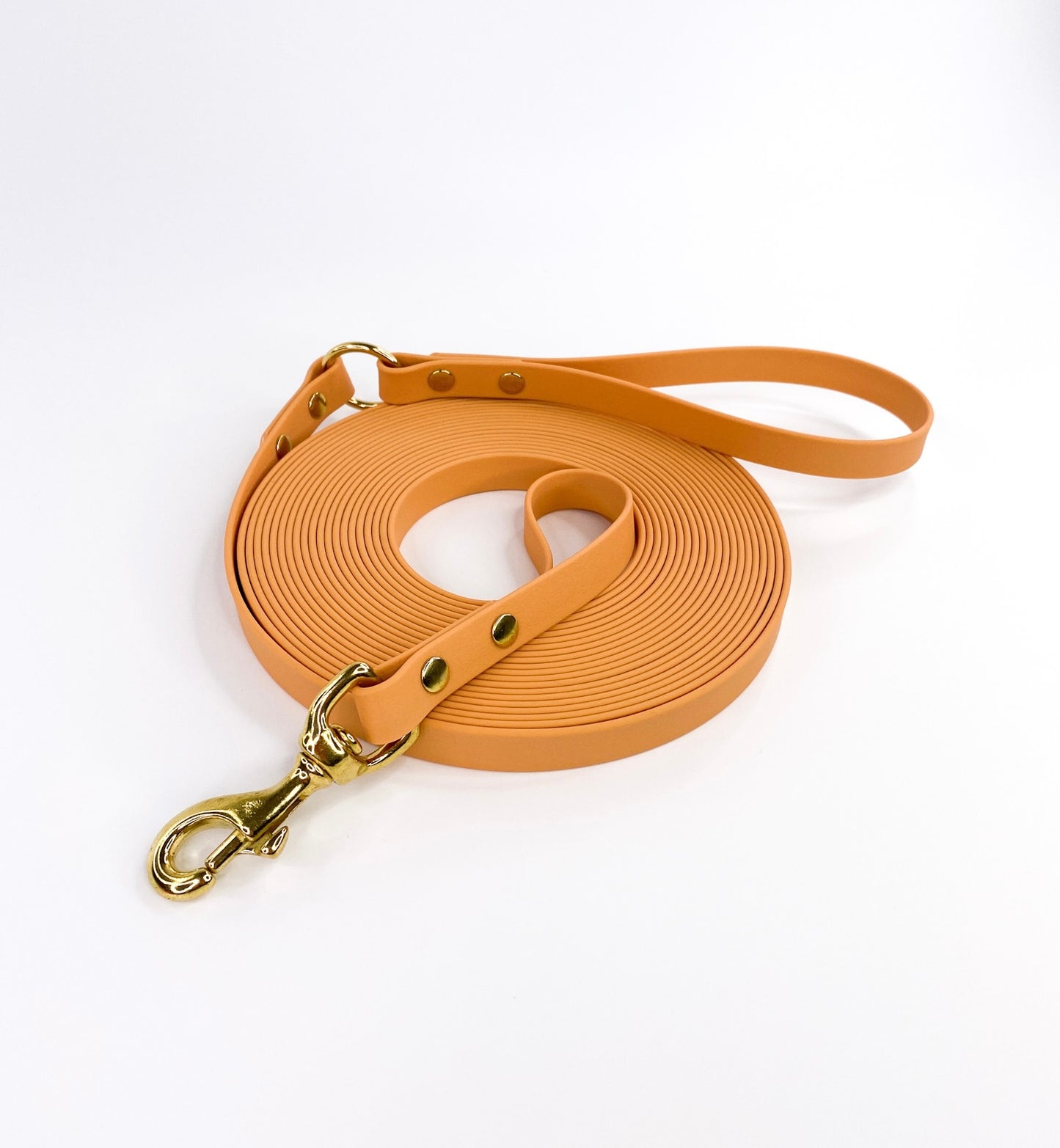 Waterproof Webbing Long Line Lead *Design your own*