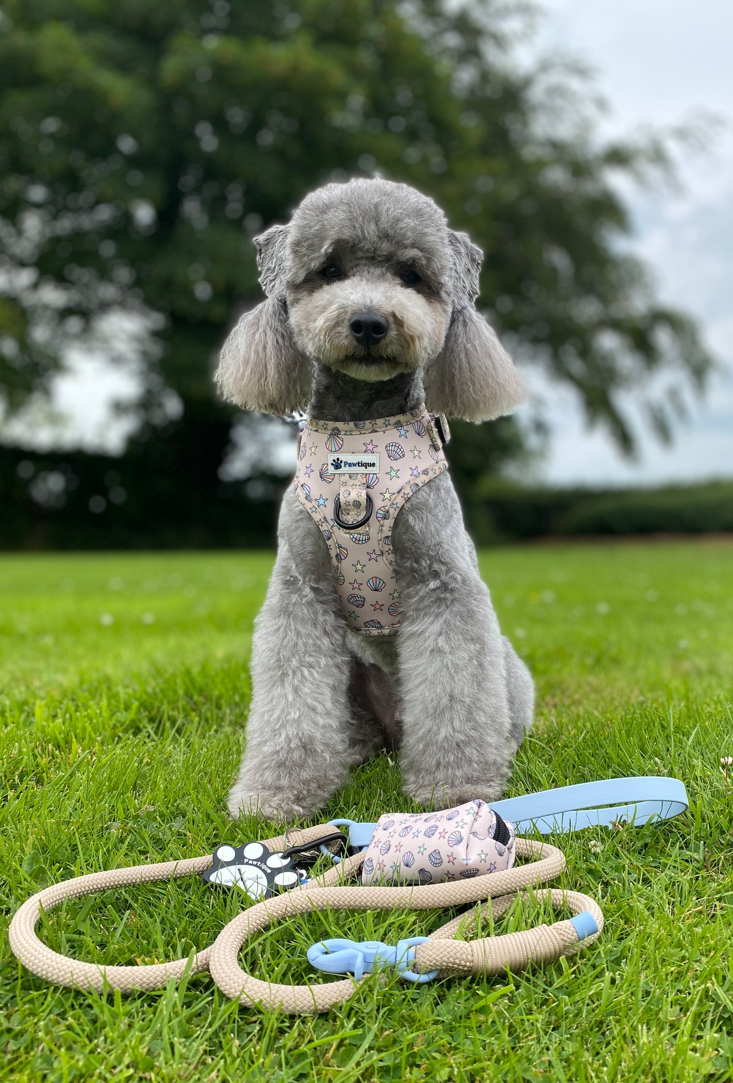 Seaside Treasures Harness