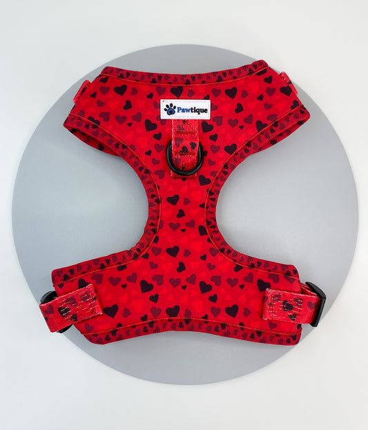 Red Hearts Harness