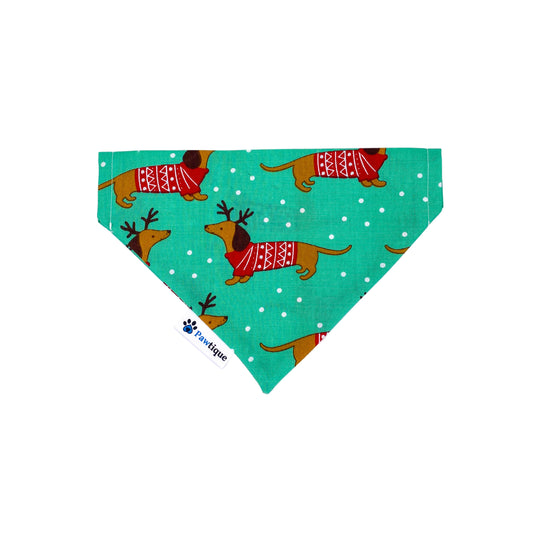 Dachshund Bandana