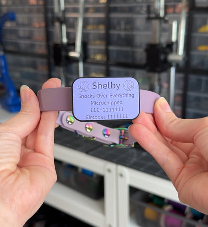 Slide on Silicone Pet Tag