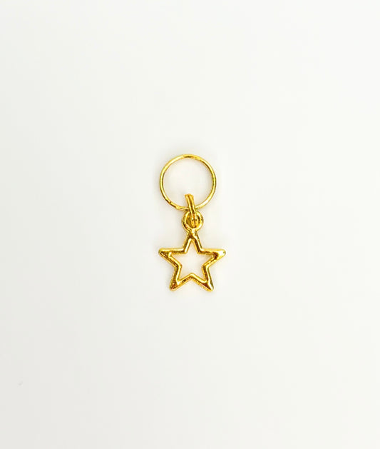 5 Star Pup Charm (Small)