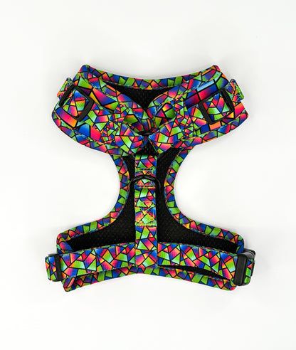 Enchanted Diamond Harness