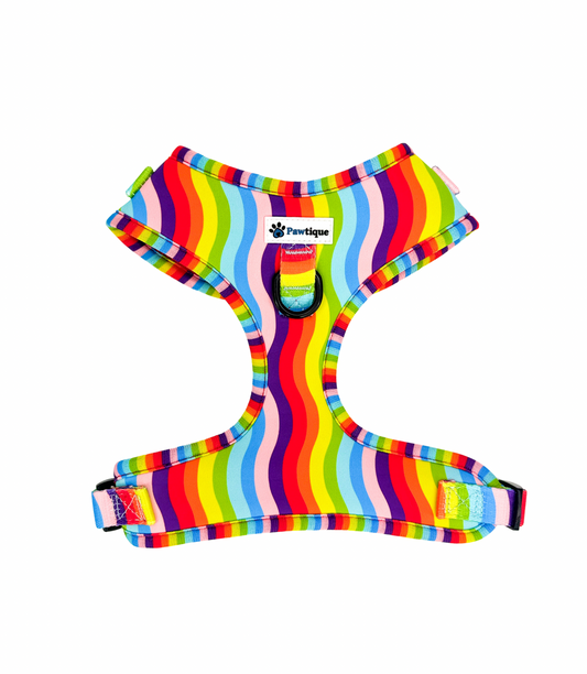 Rainbow Harness