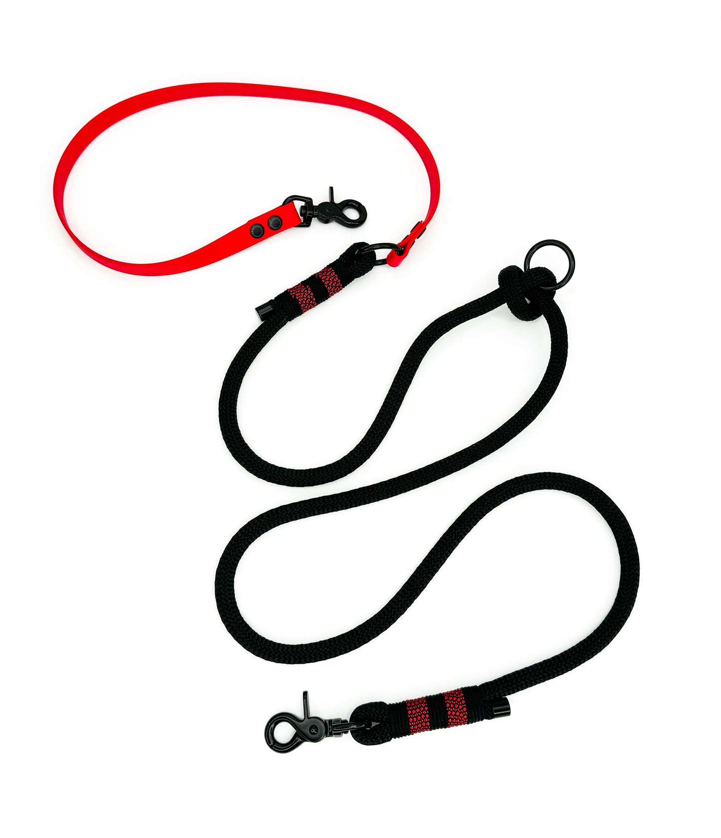 Hands Free Rope/Biothane Lead *Design your own*