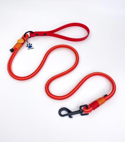 Jack-o'-lantern Rope Lead