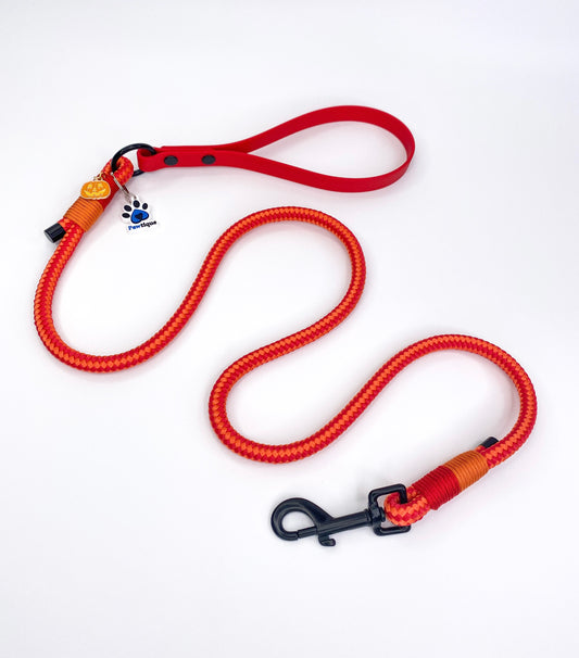 4ft Jack-o'-lantern with charm Rope Lead