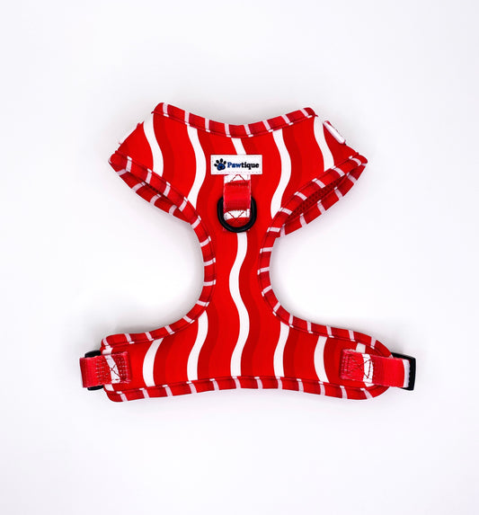 Candy Cane Harness