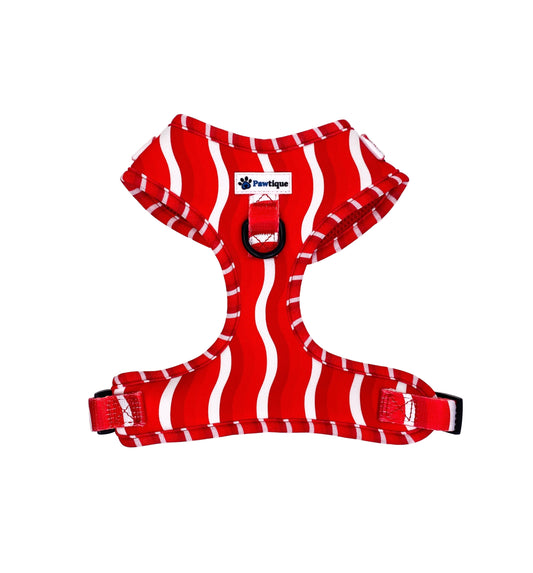 Candy Cane Harness