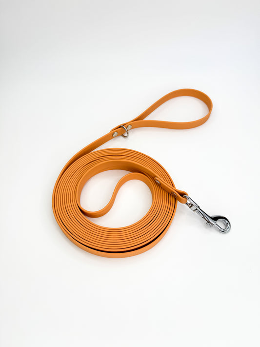 18ft Waterproof Webbing Long Line Lead Tan