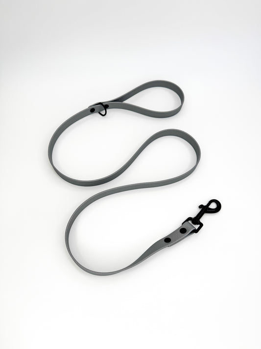 4ft Silver BioThane Lead