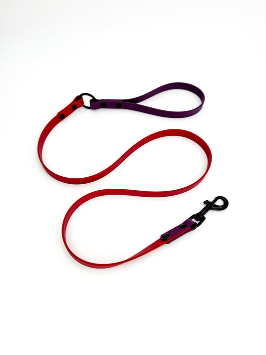 4ft Aubergine/Crimson Red BioThane Lead