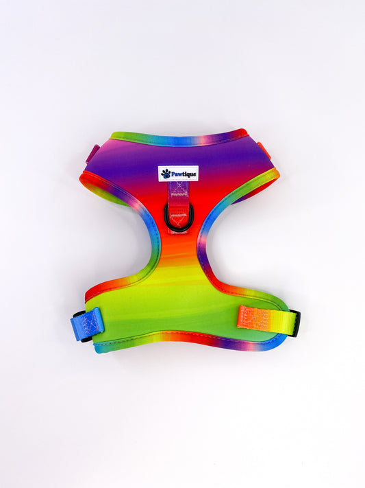 Colours of the Rainbow Harness