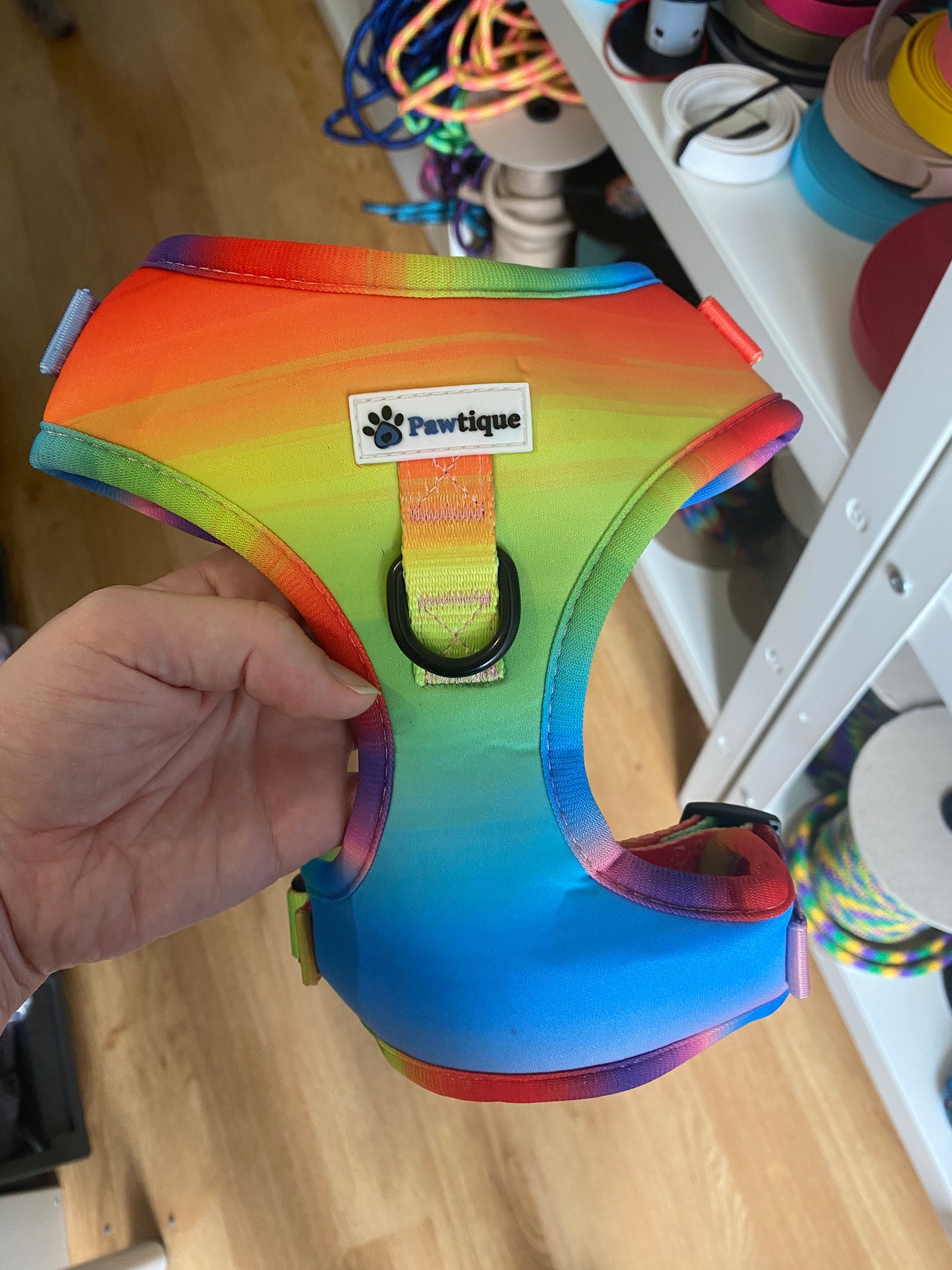 Medium Rainbow harness