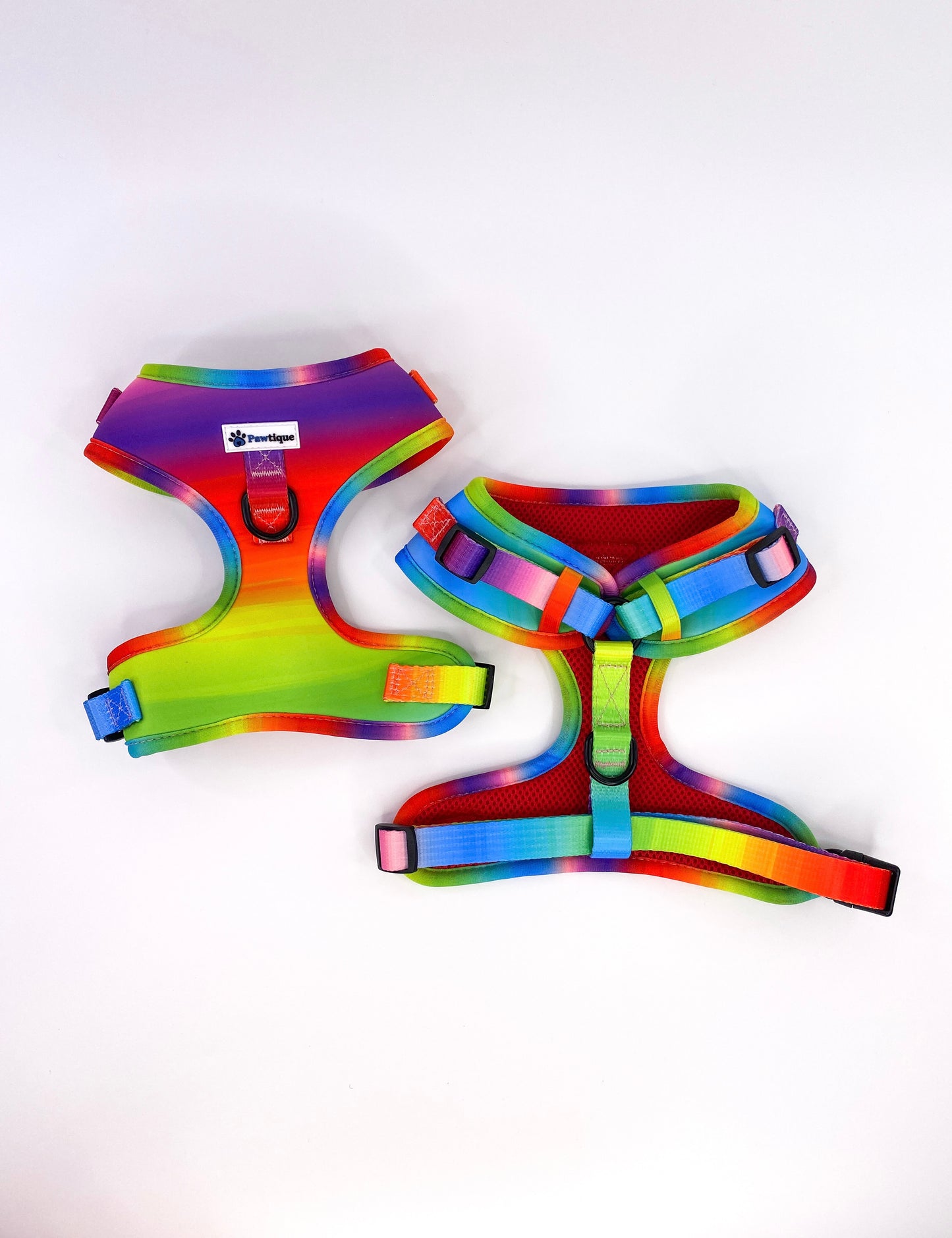 Colours of the Rainbow Harness