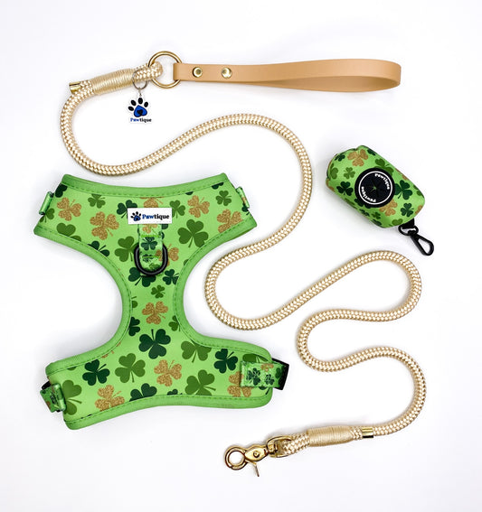 Lucky Charm Bundle (4ft Pot of Gold Rope Lead)
